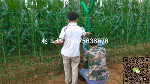 圈地護欄網(wǎng)